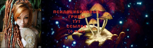 прущие крисы Алексеевка