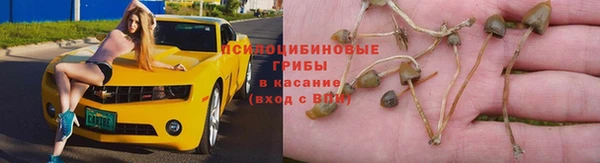 прущие крисы Алексеевка
