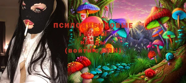 соль ск Алзамай