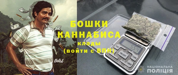 PSILOCYBIN Абдулино