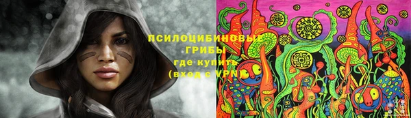 хмурый Абаза